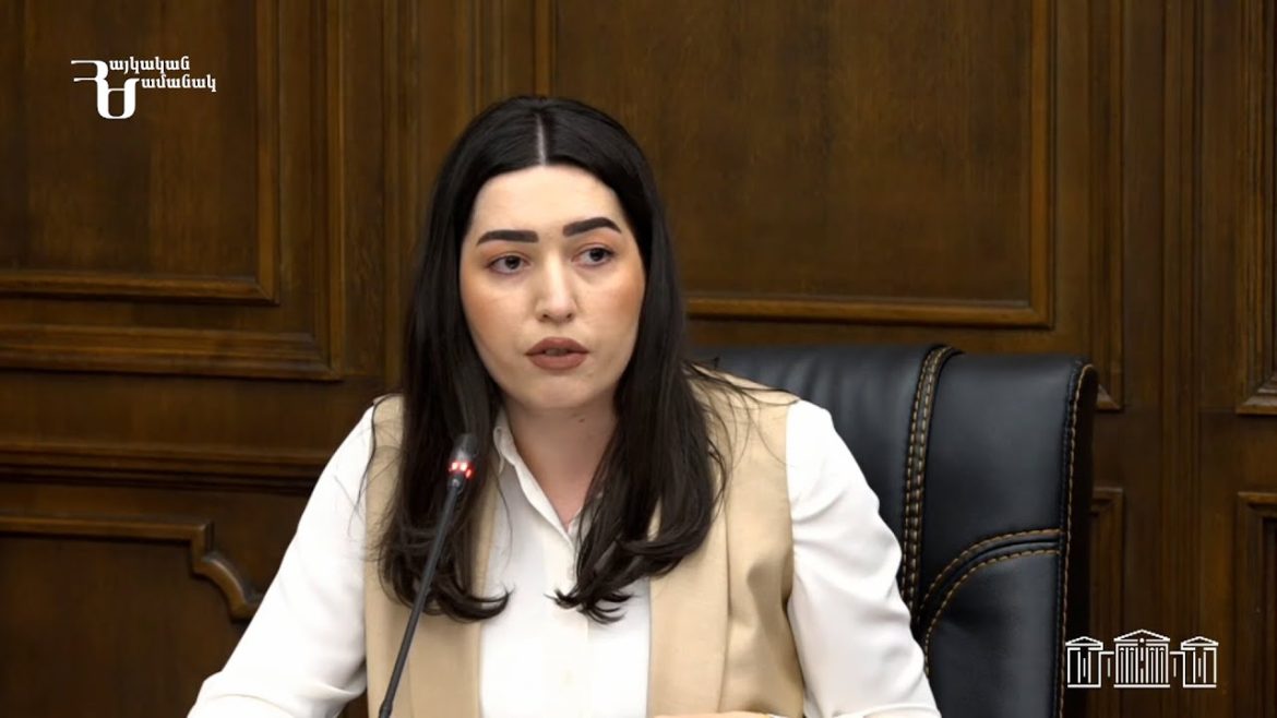 Անատոլի Մատվիյչուկ․ «Թրամփի կամուրջ» նախագծի շուրջ Ռուսաստանի դիրքորոշումը միանշանակ բացասական է